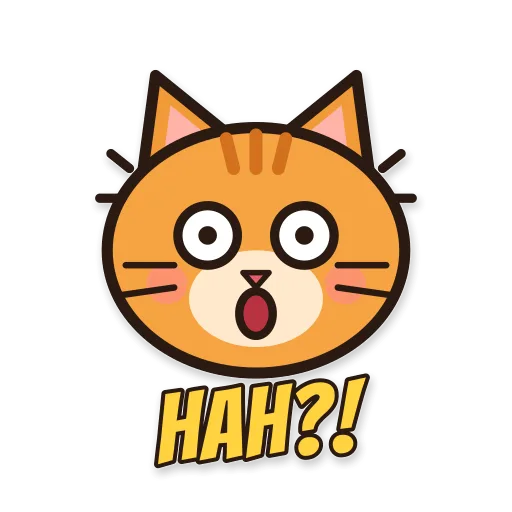 Kucing oren kaget, tulisan HAH?!